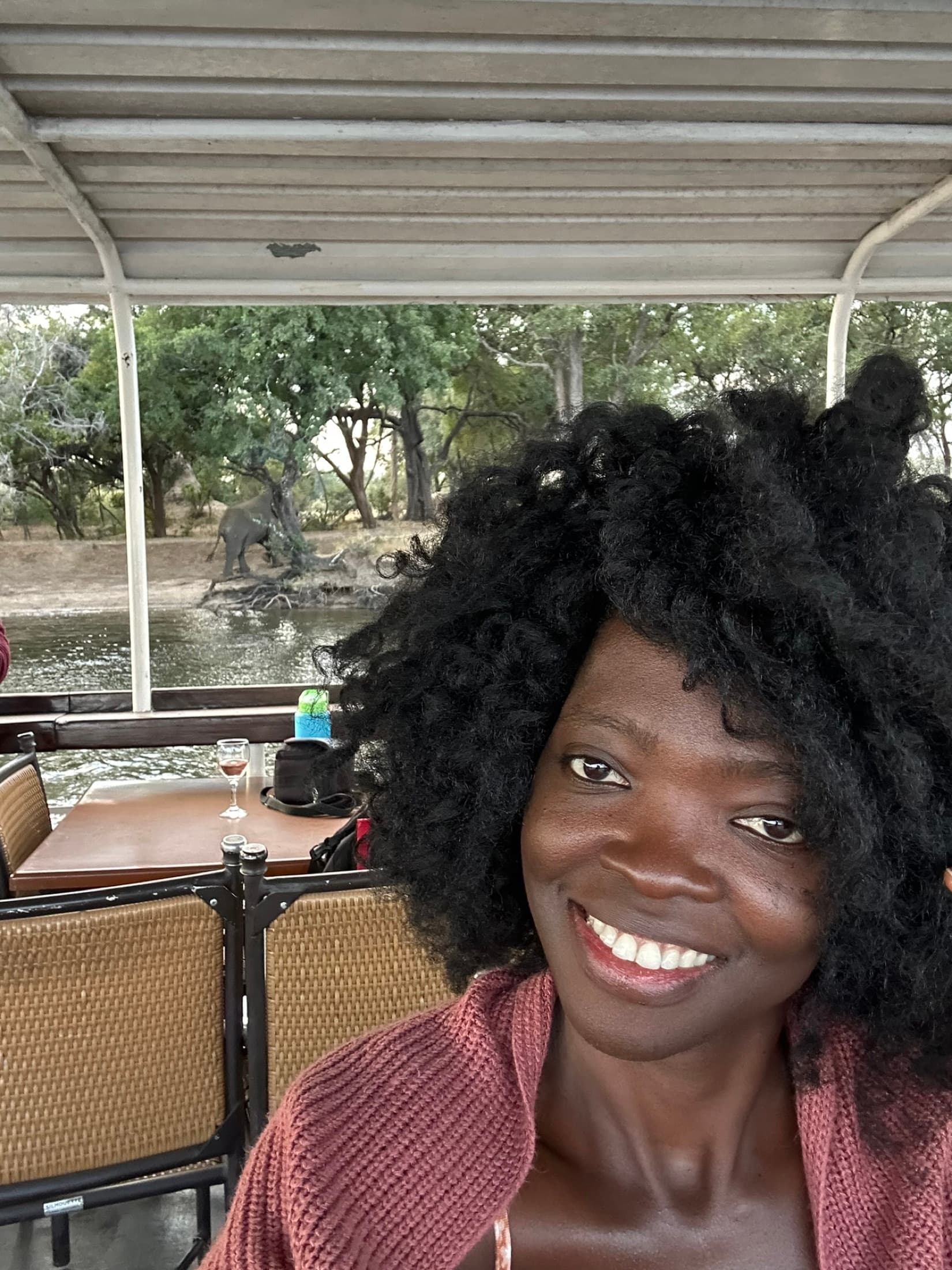 Victoria Falls, photo 3