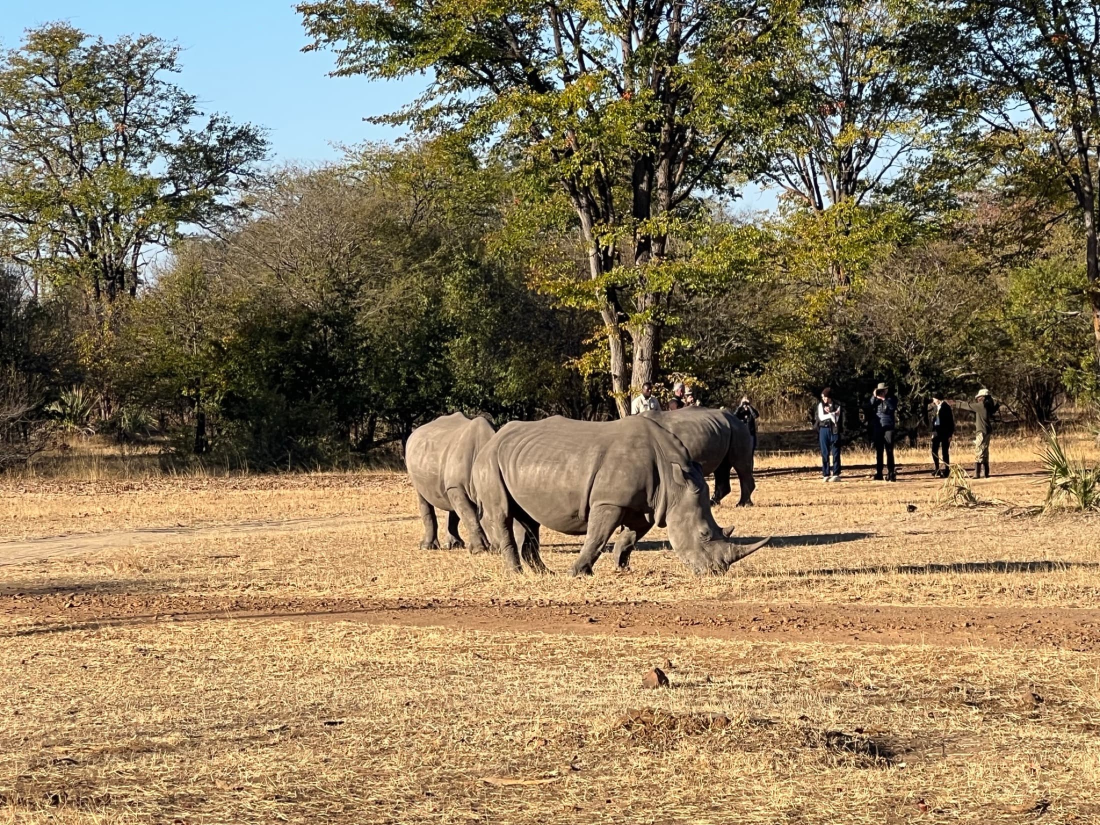 Victoria Falls, photo 5